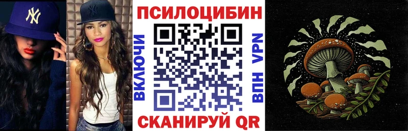 Галлюциногенные грибы Psilocybine cubensis  Таштагол 